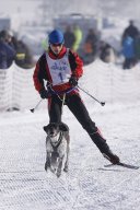 Lenk 2013